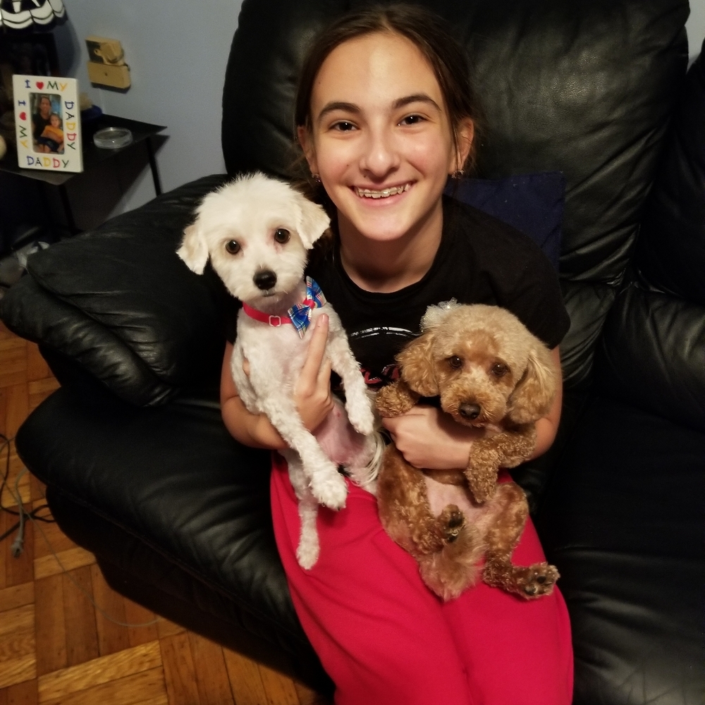 Meet your Posher, Frank